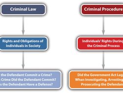 Senator Chie Raises Legal Alarms Over Warrantless Seizure Clause in New Cyber Crime Bill