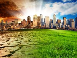 .5bn+ Secured for Climate Action Despite Mounting Pressures – International Edition