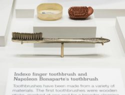 Toothbrush Stays Hidden in Man’s Intestines for 52 Years: A Grisly Record Toothbrush Stays Hidden in Man’s Intestines for 52 Years: A Grisly Record