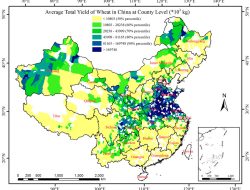 Chinese Market for Weight Loss and Diabetes Drugs Poised for Explosive Growth, Report Reveals