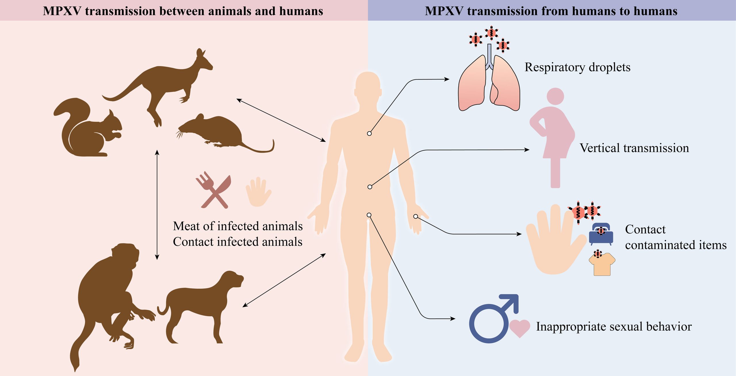 Metro Health Officials Engage Stakeholders on mpox and Cholera Prevention