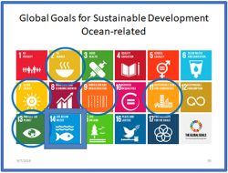UN Chief Urges Global Action to Safeguard Ocean Life