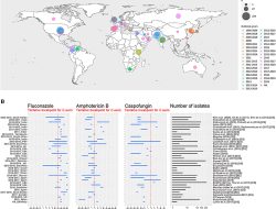 “Why Drug-Resistant Candida auris Is Sending Shockwaves Through the Medical Community” – An International Alert (English Edition) “Why Drug-Resistant Candida auris Is Sending Shockwaves Through the Medical Community” – An International Alert (English Edition)