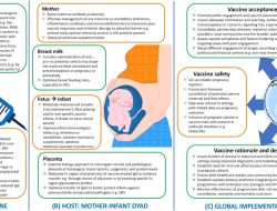 FCT Excels in Immunization Efforts, Leads Health Security Rankings FCT Excels in Immunization Efforts, Leads Health Security Rankings