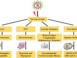 Neurological Disorders in Nigeria: Expert Calls for Enhanced Healthcare as Most Cases Go Undiagnosed — Moses Ataben, US-Based Neuroscientist