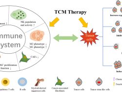 Chinese Scientists Discover New Immune System’s Anti-Tumor Secret Chinese Scientists Discover New Immune System’s Anti-Tumor Secret