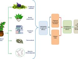 Natural Substances That Can Interfere with Your Medications Natural Substances That Can Interfere with Your Medications