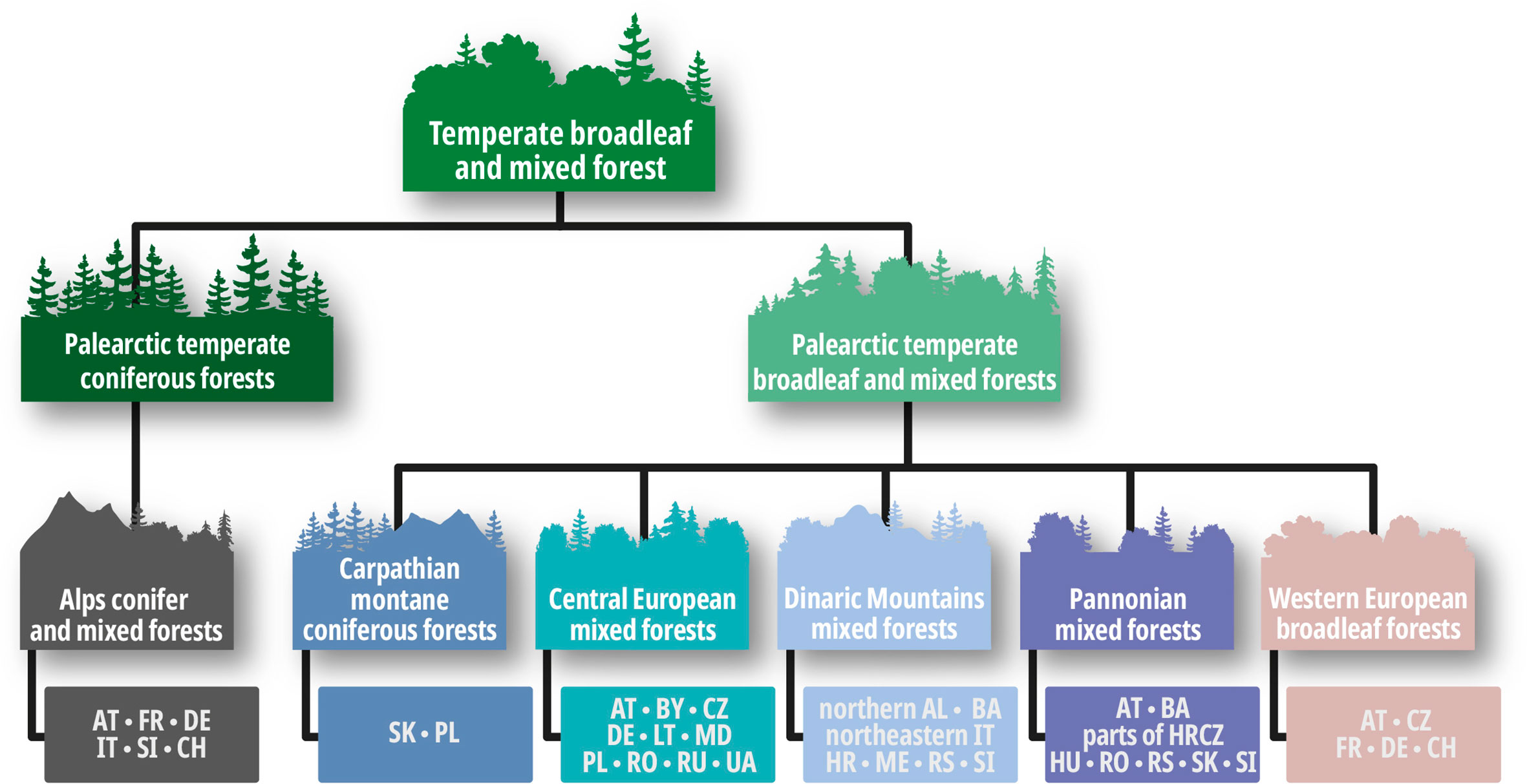 Invasive Plants Invade Myagdi Forests as Grazing Wanes
