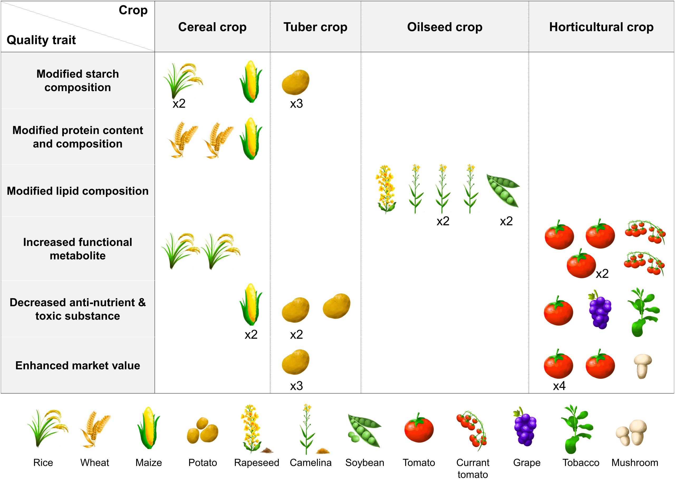 Plateau Unveils High-Yield Potato Varieties: International Edition (English)