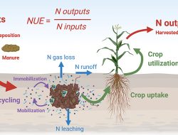 Boost Production with Advanced Fertilizer Techniques – International Edition (English)
