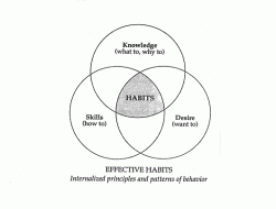 Habits That Shape Your Identity: An International Perspective Habits That Shape Your Identity: An International Perspective