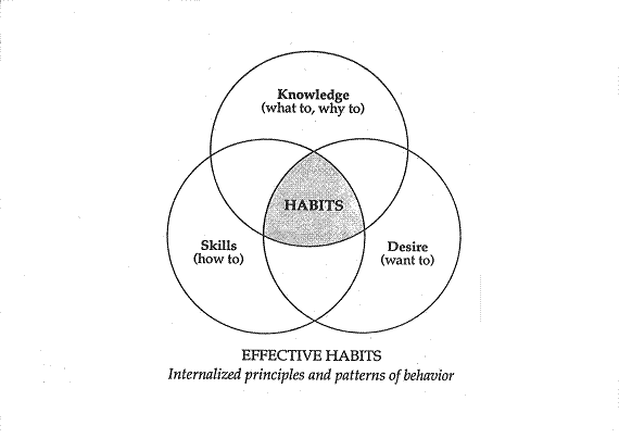 Habits That Shape Your Identity: An International Perspective