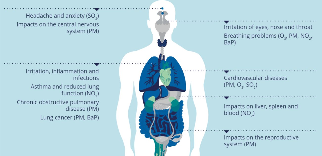 The Health Implications of Air Travel: An International Perspective