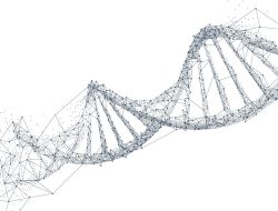 Work Commences on Crafting Artificial Human DNA – International Edition (English) Work Commences on Crafting Artificial Human DNA – International Edition (English)
