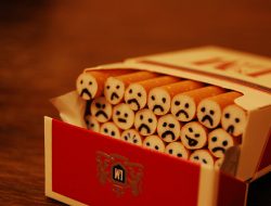 UN Health Agency Urges Ban on Flavored Tobacco and Nicotine Products UN Health Agency Urges Ban on Flavored Tobacco and Nicotine Products
