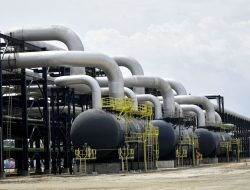 Tetracore and Dangote Cement Boost Clean Energy Alliance