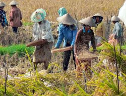 Uskup Atambua Mendorong Transformasi Bansos Menjadi Program Ekonomi Mix Farming Produktif