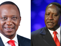 Kenya Seeks Tight Economic Ties with Pakistan in International Edition (English) Kenya Seeks Tight Economic Ties with Pakistan in International Edition (English)