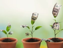 Karpowership Plants: 3,000 Trees Added in Global Green Initiative Karpowership Plants: 3,000 Trees Added in Global Green Initiative