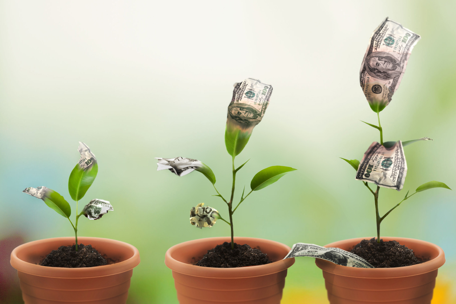 Karpowership Plants: 3,000 Trees Added in Global Green Initiative
