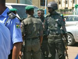 Kaduna Task Force Seizes Arms, Arrests 398 Suspects