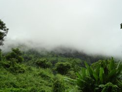 Tourism Restrictions Lifted in Bandarban After Nearly a Year Tourism Restrictions Lifted in Bandarban After Nearly a Year