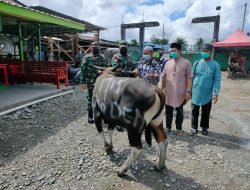 Hiburan Unik: Warga Sumbang Makanan untuk Hewan Kurban di Masjid Agung An Nuur Kota Batu Sebelum Disembelih Hiburan Unik: Warga Sumbang Makanan untuk Hewan Kurban di Masjid Agung An Nuur Kota Batu Sebelum Disembelih
