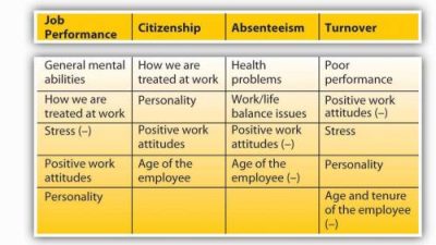 Style and Substance: How Employee Appearance Impacts Service Quality