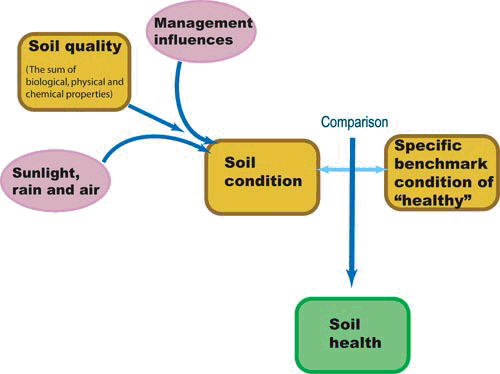 Health alert issued over ‘soil fever’