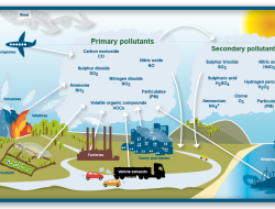 New Global Task Force Unveiled to Tackle Chemicals, Waste, and Pollution