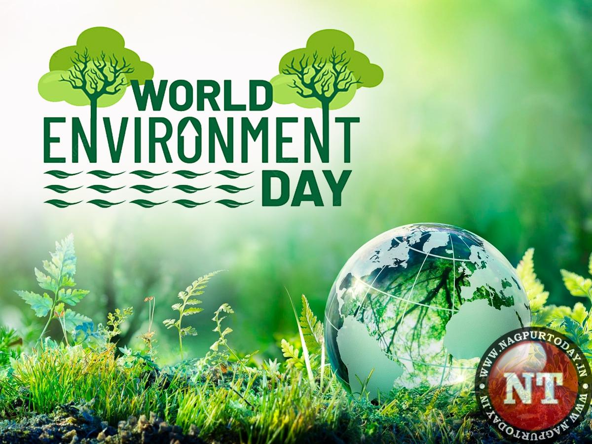 WORLD ENVIRONMENT DAY 2025: How the Church Is Shaping the Future of Creation