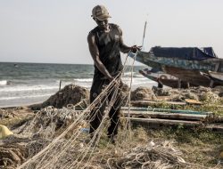 Europe’s Hunger for Farmed Fish Devastates Gambia’s Coast