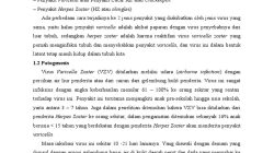Rekomendasi Vaksin 2025: Vaksin Herpes Zoster dan RSV Terbaru