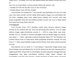 Rekomendasi Vaksin 2025: Vaksin Herpes Zoster dan RSV Terbaru Rekomendasi Vaksin 2025: Vaksin Herpes Zoster dan RSV Terbaru