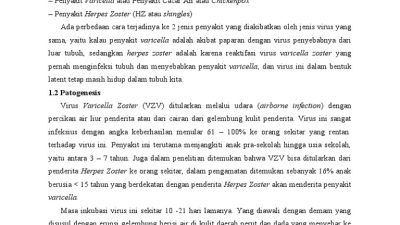 Rekomendasi Vaksin 2025: Vaksin Herpes Zoster dan RSV Terbaru