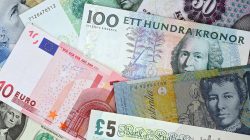 Investigating the Fraud Ring Behind Fake Portugal Work Visas