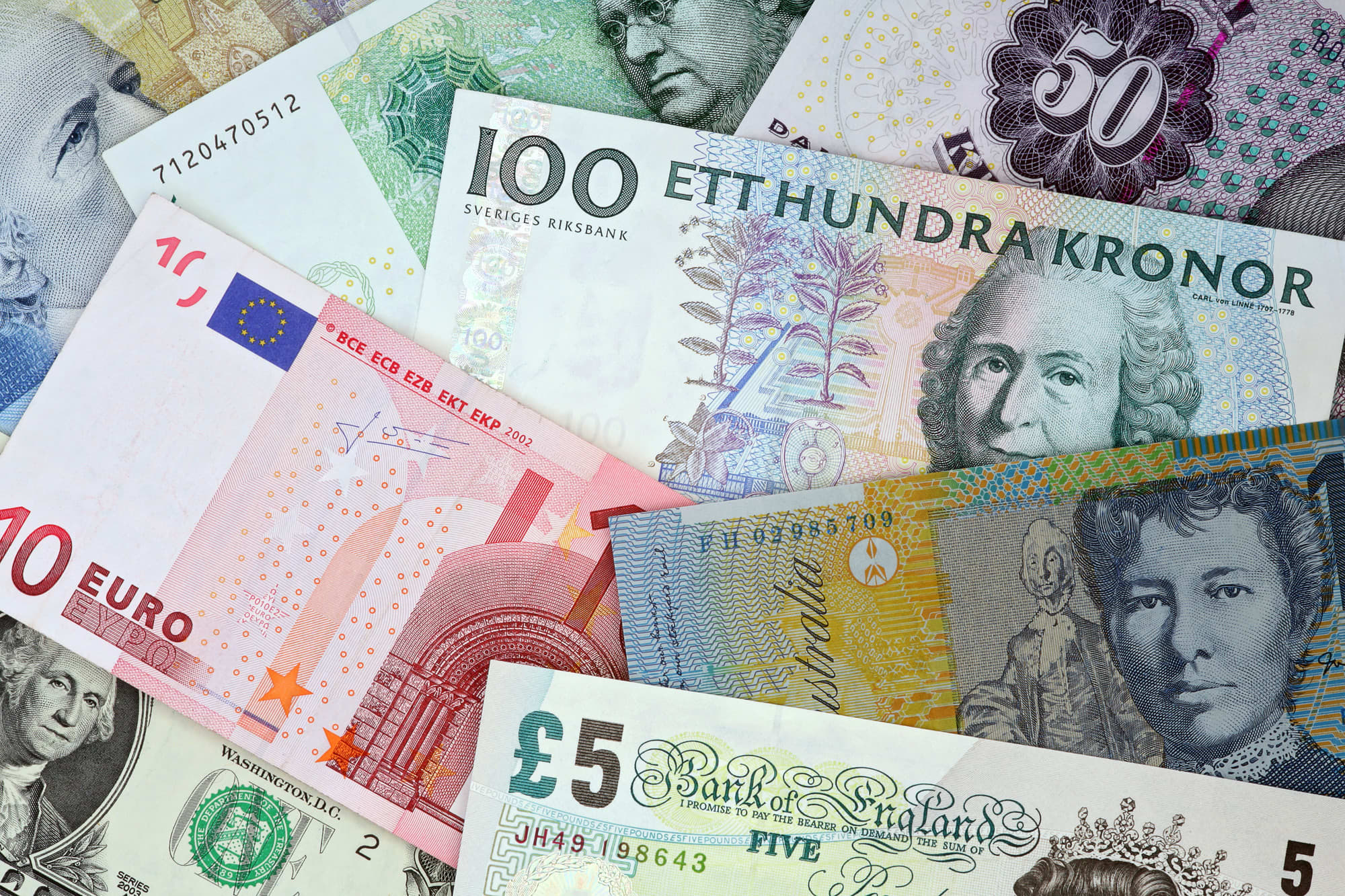 Investigating the Fraud Ring Behind Fake Portugal Work Visas