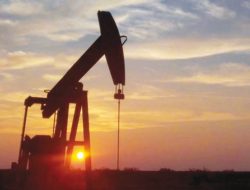OGDCL Increases Oil and Gas Output at Rajian-05 Well in Chakwal with Successful ESP Installation OGDCL Increases Oil and Gas Output at Rajian-05 Well in Chakwal with Successful ESP Installation
