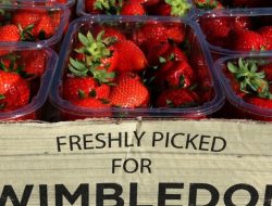 Wimbledon’s Strawberry King Battles Rivals for the Crown