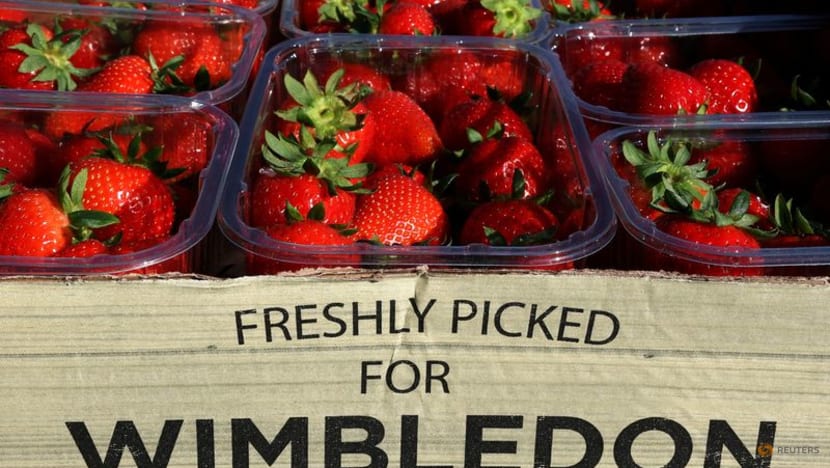 Wimbledon’s Strawberry King Battles Rivals for the Crown