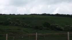 Ancient Noble’s Ringfort Unearthed in Galway