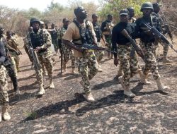 Troops eliminate dozens of terrorists in Borno