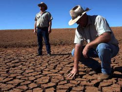 Biotech Combats Drought and Hunger, Declares NBDRA Director-General Biotech Combats Drought and Hunger, Declares NBDRA Director-General