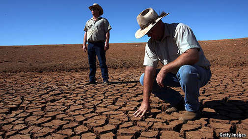 Biotech Combats Drought and Hunger, Declares NBDRA Director-General