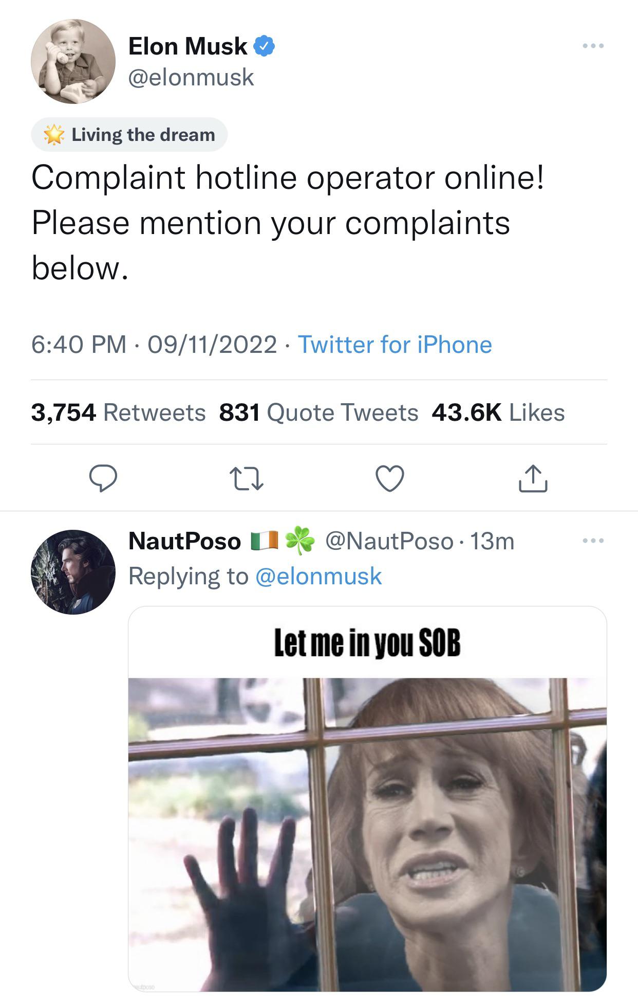 Elon Musk’s AI Obsession Sparks Online Cringe