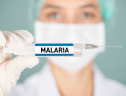 First Malaria Drug Approved for Newborns and Young Infants First Malaria Drug Approved for Newborns and Young Infants