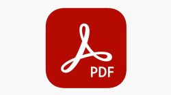 Kenali Perbedaan Format File: PDF, DOCX, TXT, dan RTF