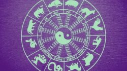 Ramalan Shio Hari Ini (5 Juli 2025): Monyet, Ayam, Anjing, Babi