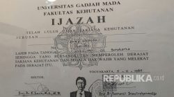 Mantan Rektor UGM Minta Maaf ke Jokowi atas Pernyataan Tak Lulus Sarjana