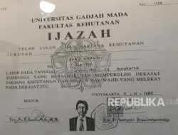 Mantan Rektor UGM Minta Maaf ke Jokowi atas Pernyataan Tak Lulus Sarjana